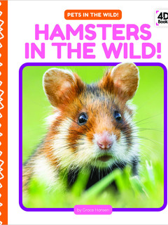 Hamsters in the Wild!