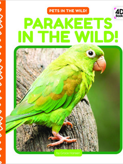 Parakeets in the Wild!