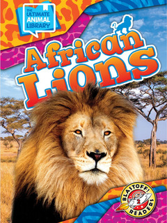 African Lions