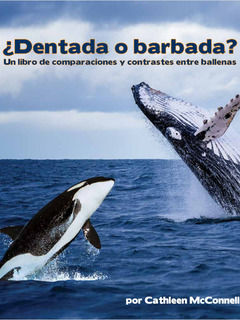 ¿Dentada o barbada? Un libro de comparaciones y contrastes entre ballenas