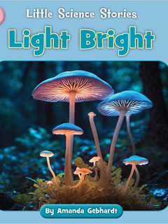 Light Bright