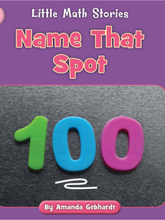 Name That Spot